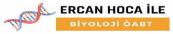 Ercan Hoca logo