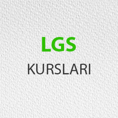 LGS-kategorileri